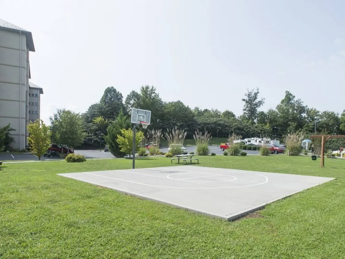 An active outdoor basketball court bordered by greenery, benches for spectators or resting players, and ample open space for group activities. The area feels lively and well-kept, inviting for friendly games and community gatherings.