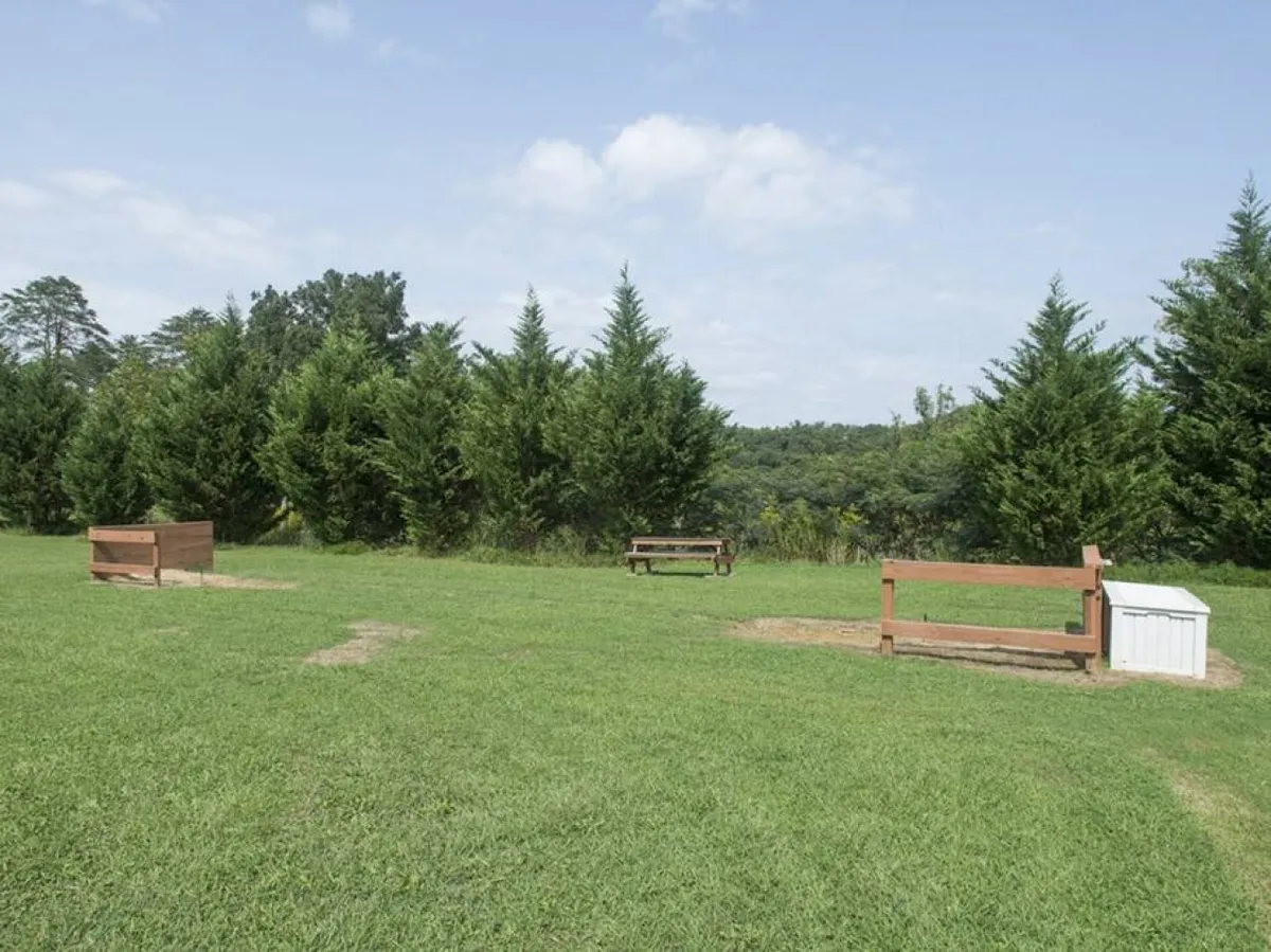 A serene outdoor area with wooden benches on a lush green lawn, framed by dense trees in the background. The environment is tranquil, perfect for picnics or simply unwinding after a day of play. The sunset glow and natural setting make it inviting for family gatherings or group barbecues.
